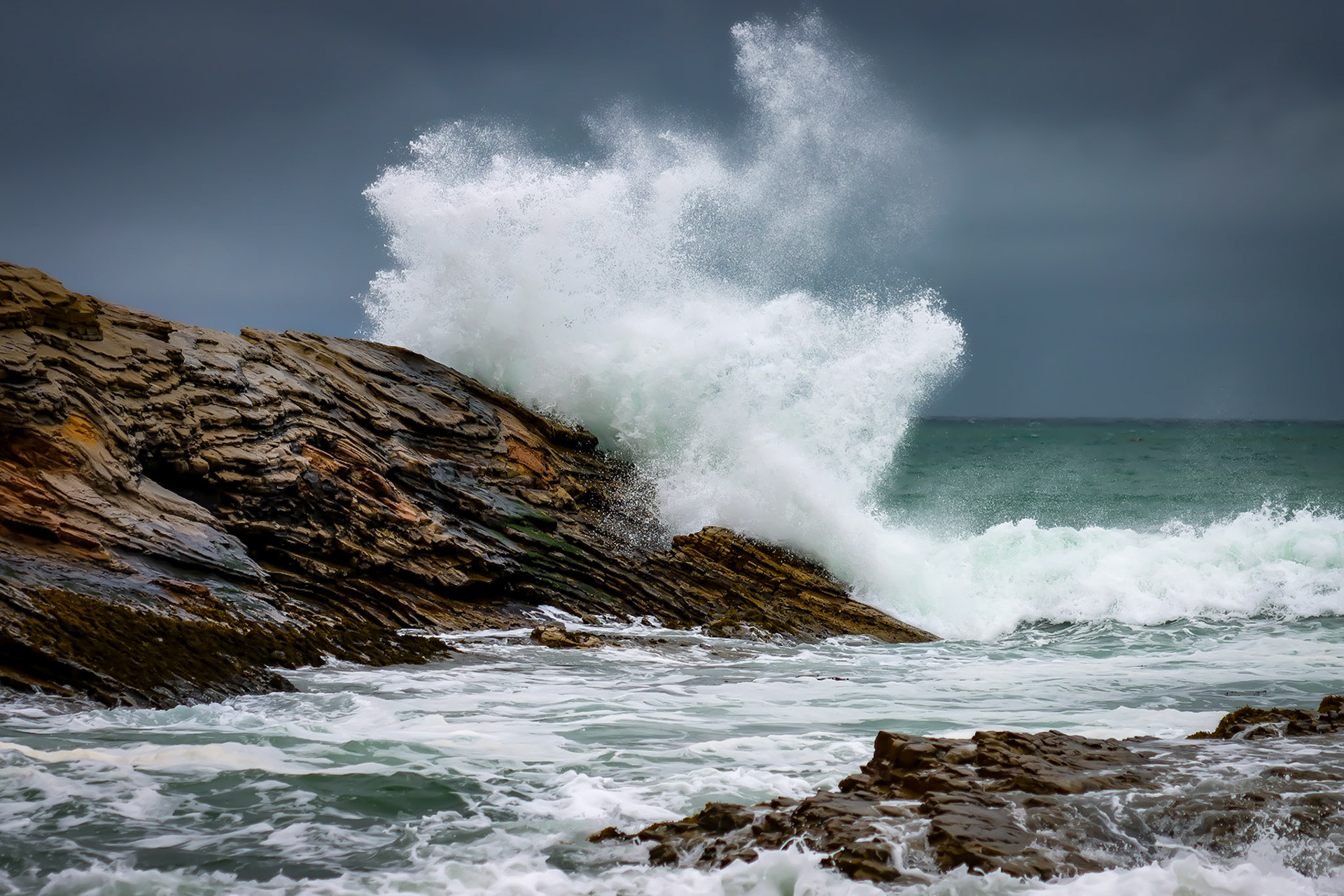 Montaña de Oro State Park, CA - 12/10/22