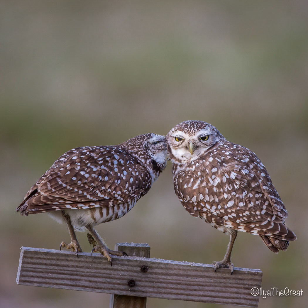 You will not believe what I heard.