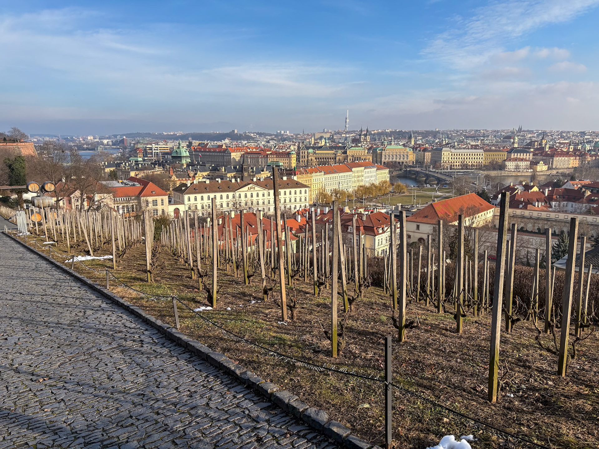 Vignoble Saint Venceslas