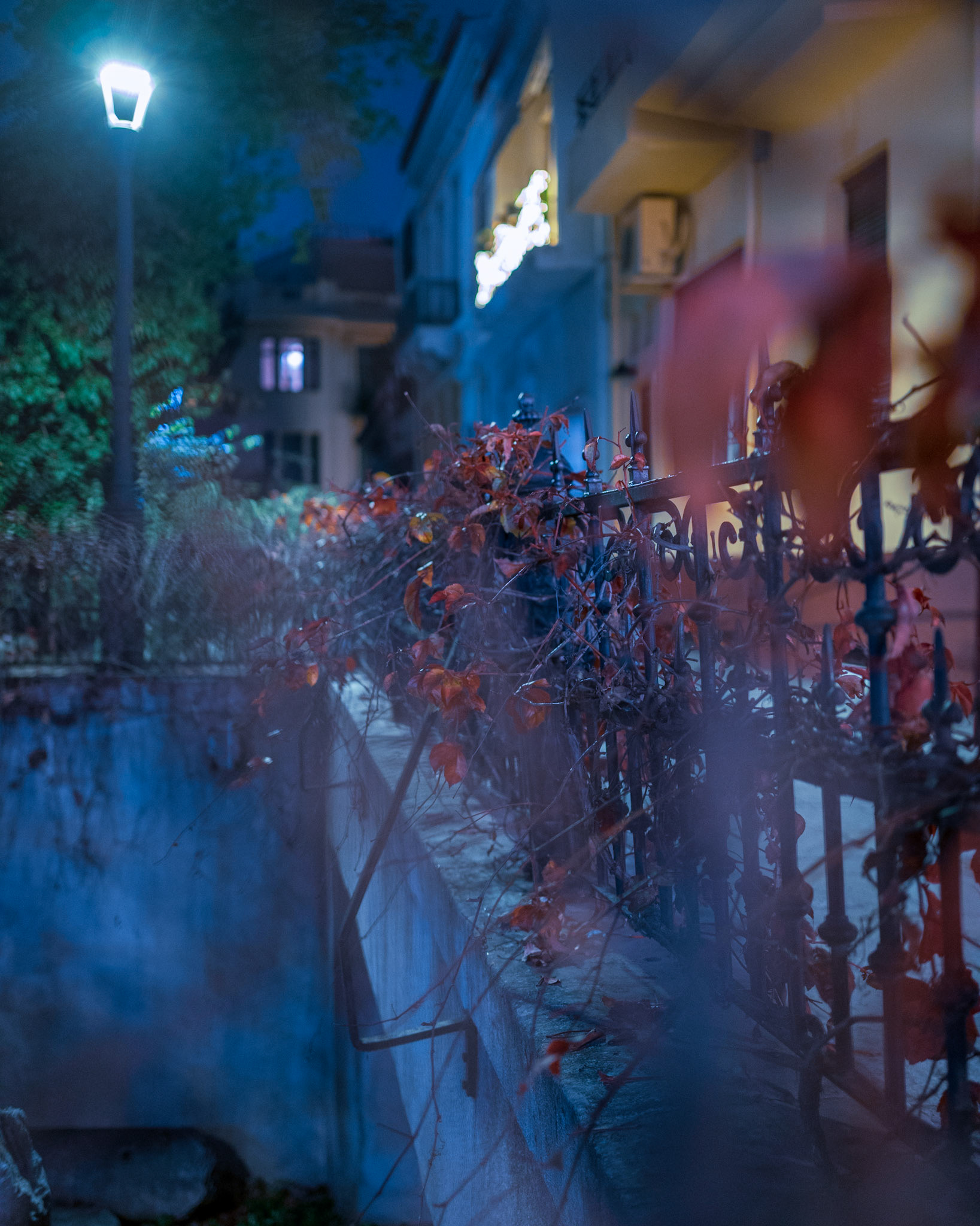 Lights, flowers and shadows playing around!