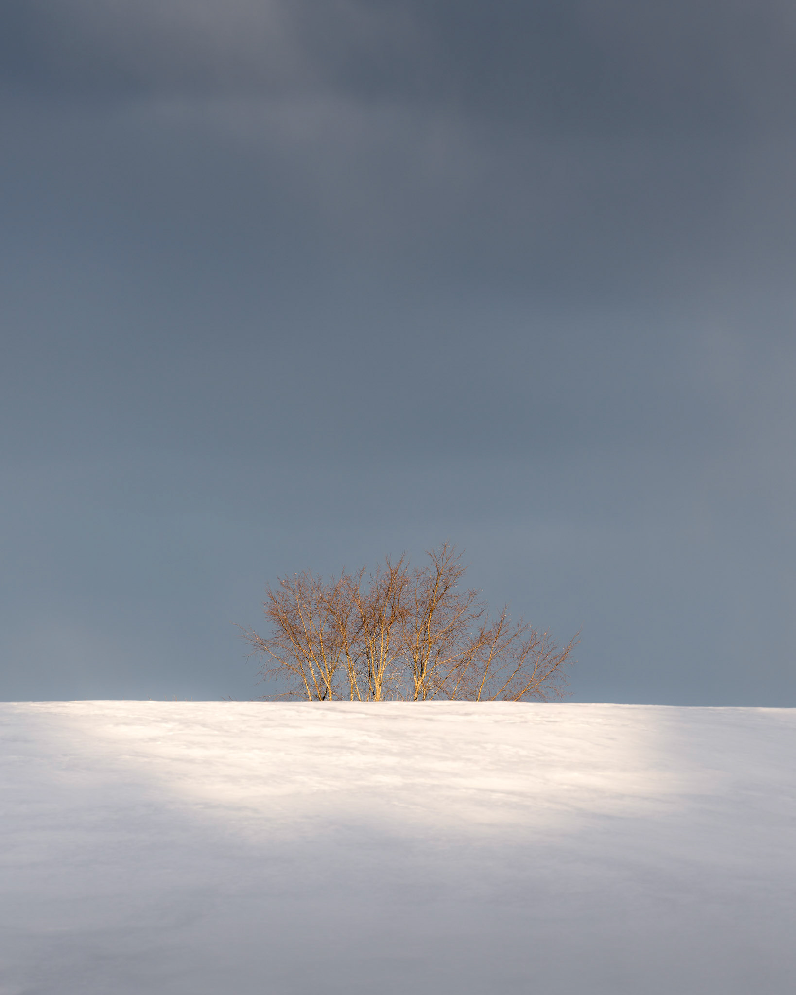 Left Over - Quebec, March 2019