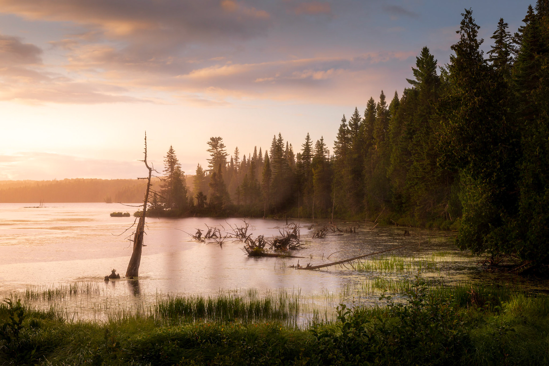 Thunder - Quebec, August 2019