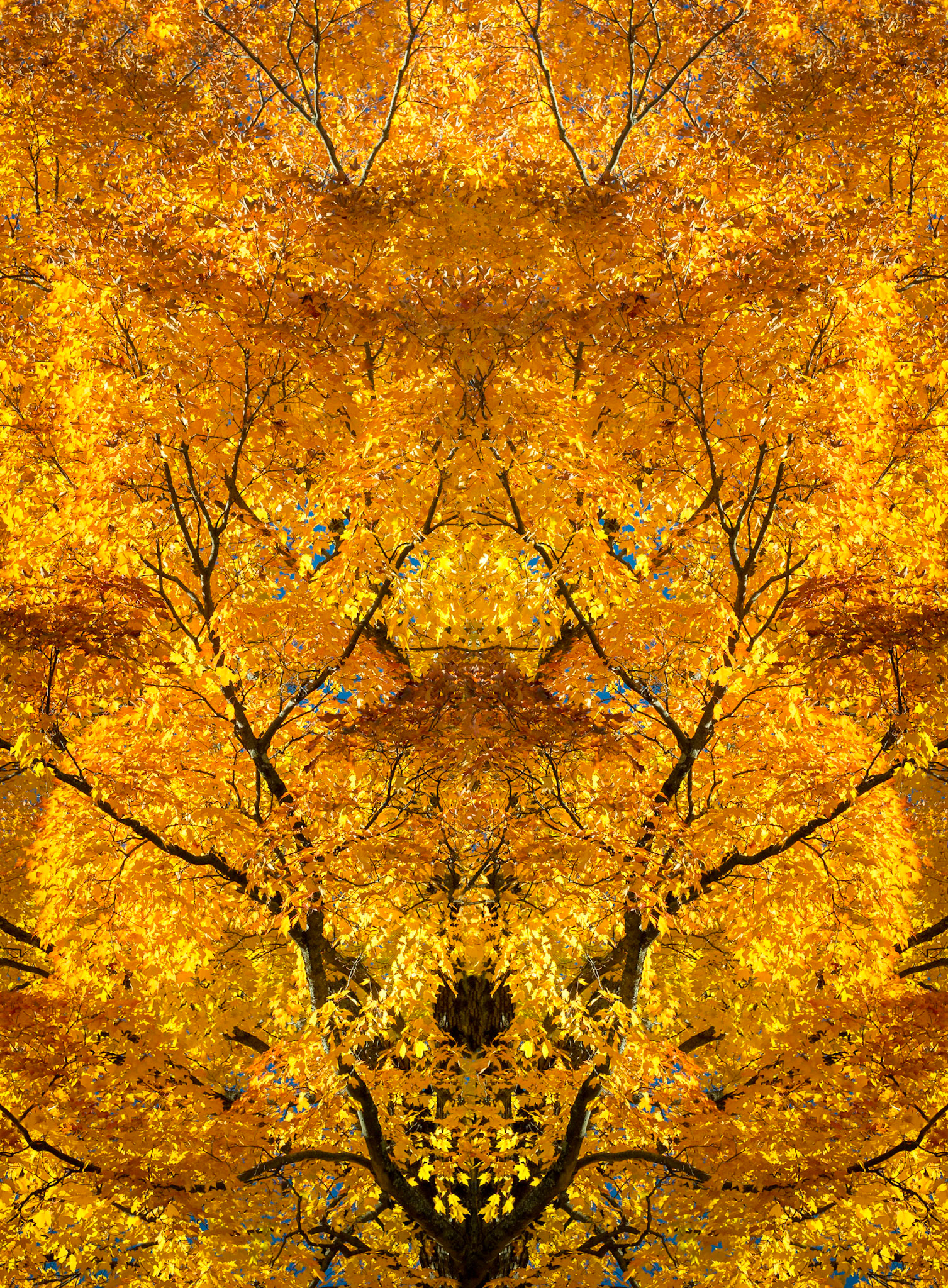 Psychedelic Fire  Quebec, October 2016