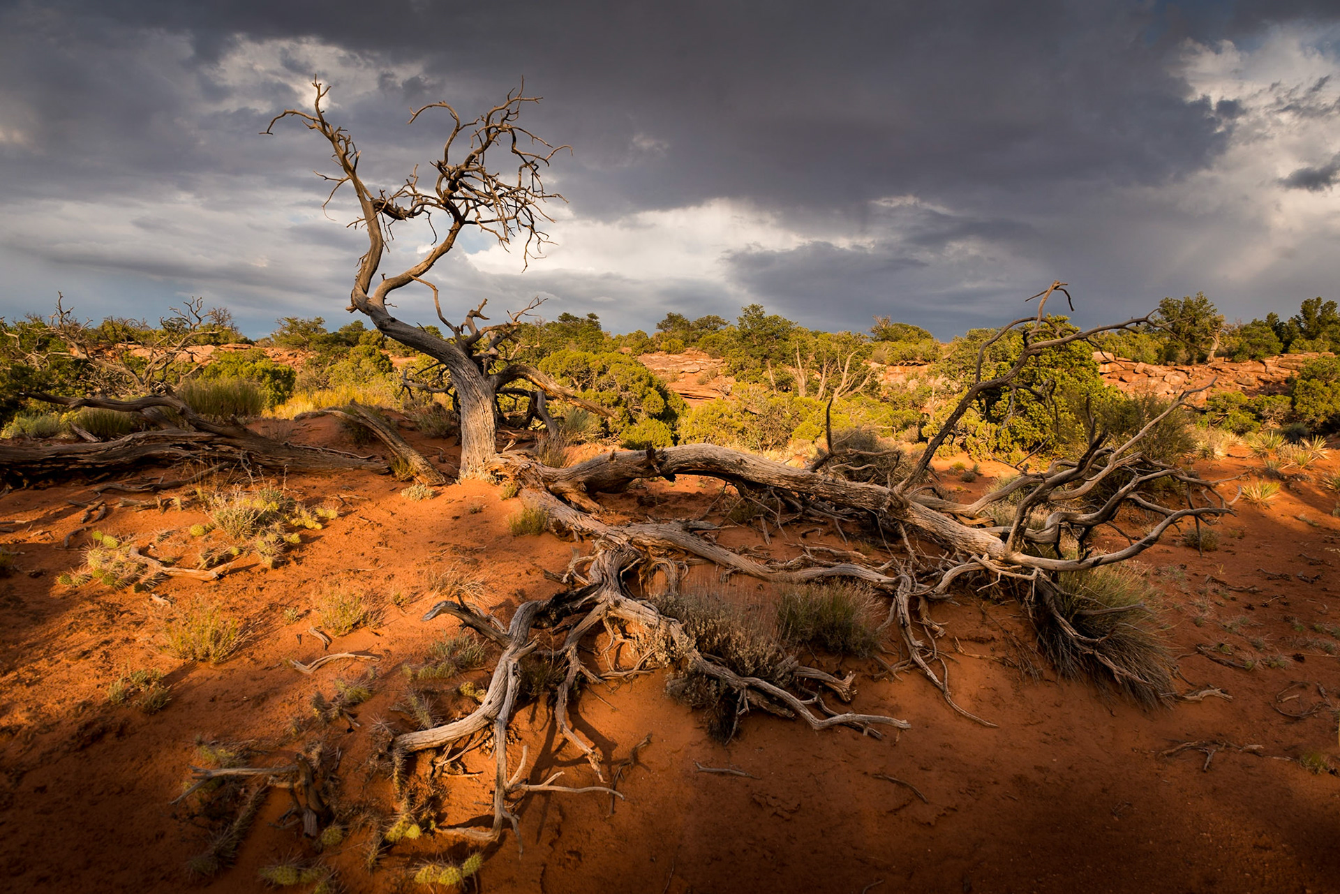 Agony - Utah, July 2017