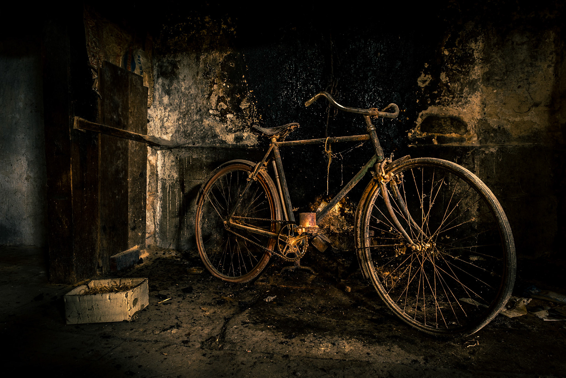 Abandoned Bike - France, July 2014