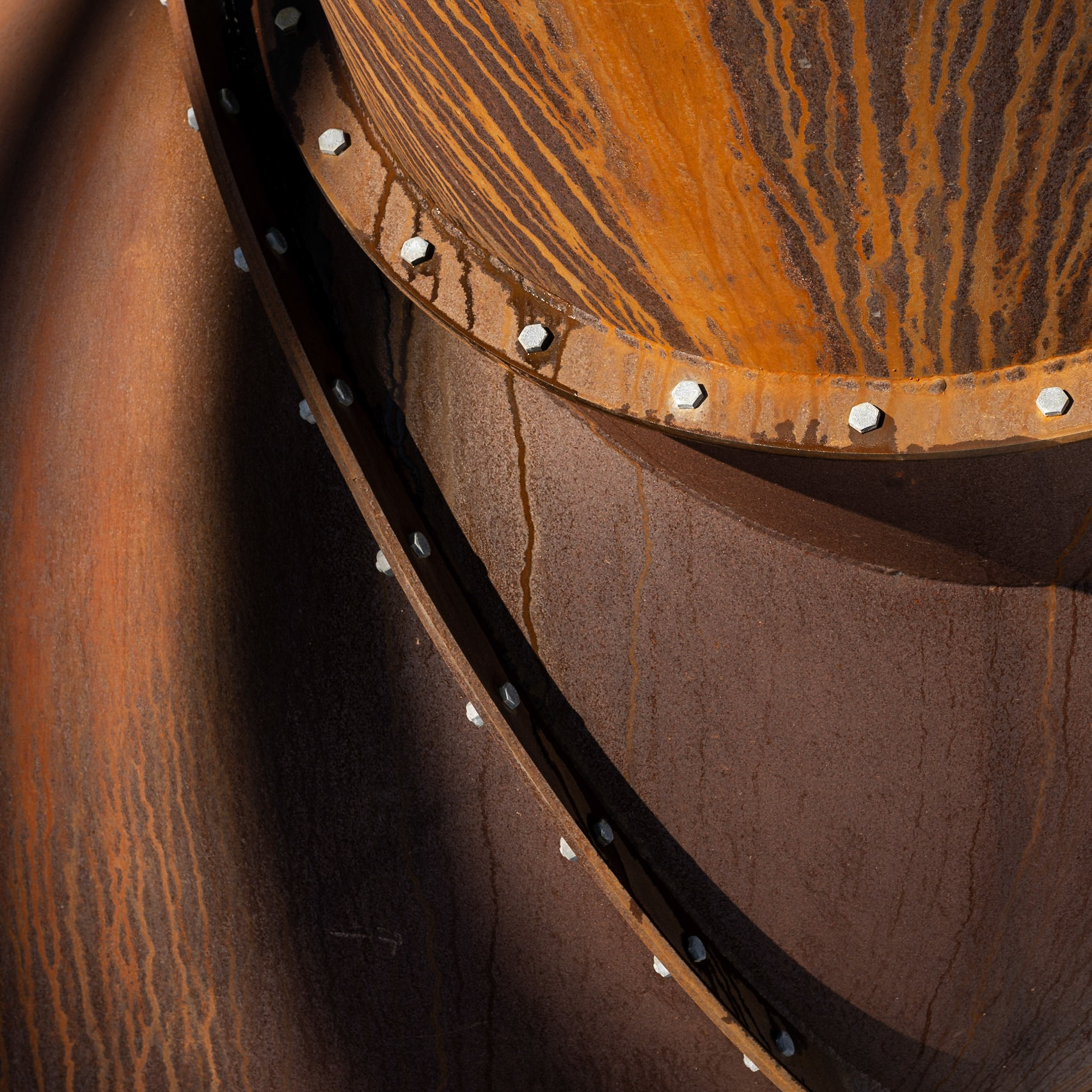 Dendrites - Montreal, February 2022