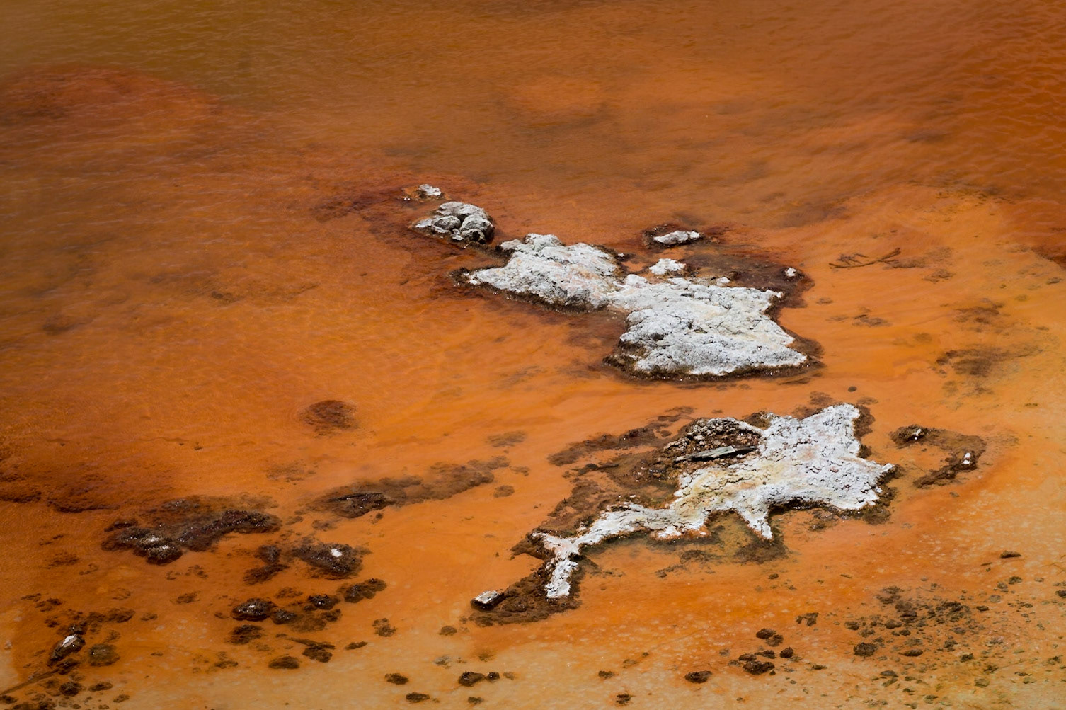 Island - Yellowstone, July 2017