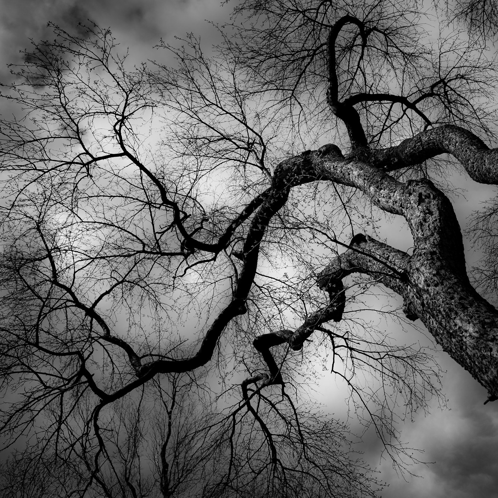 Cracks - Quebec, May 2018