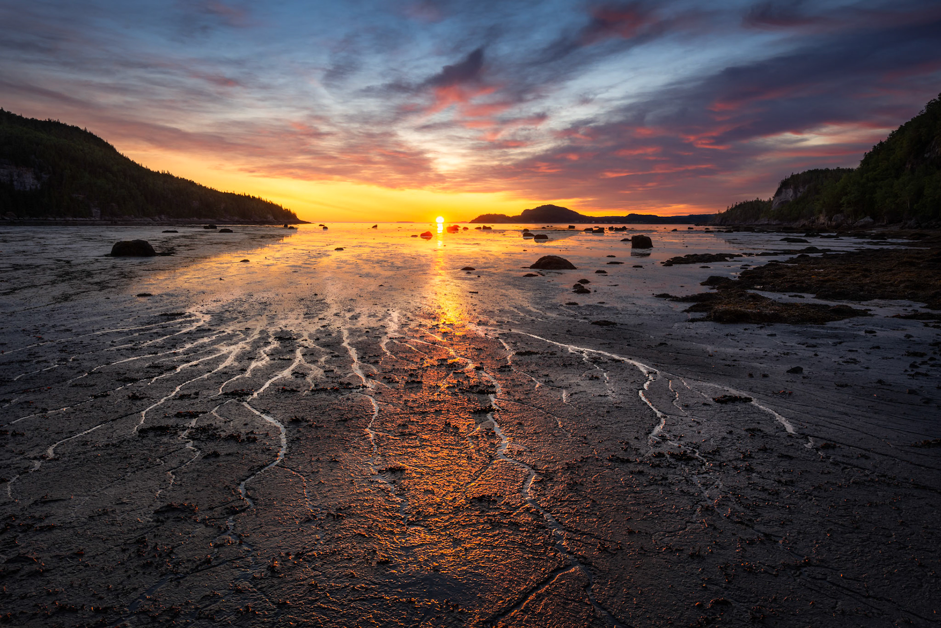 Anses Spider - Quebec, July 2021