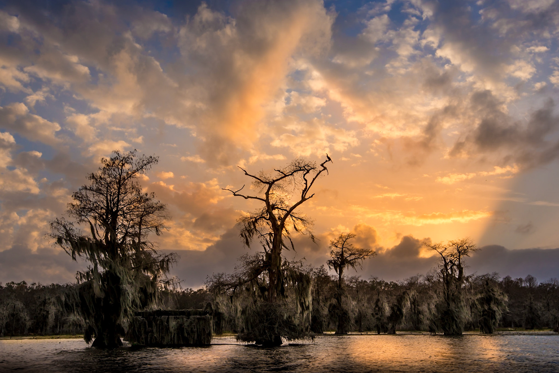 Ghostly Sunset - Bayou, Louisiana, December 2015