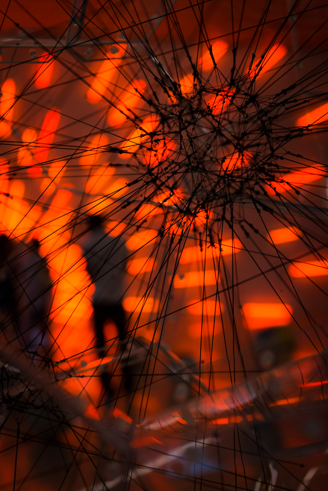 Observation - Miami, January 2015