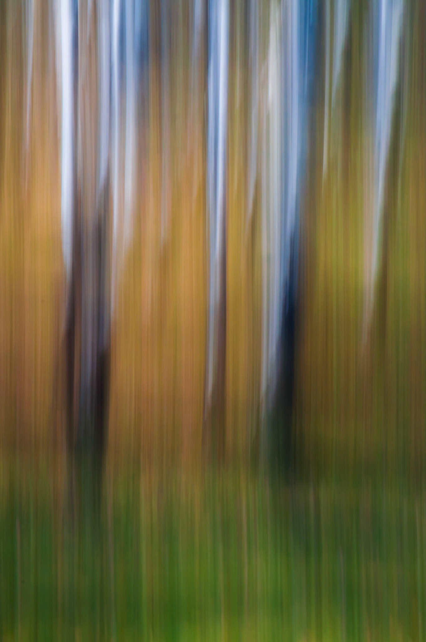 Dissolution - France, April 2012