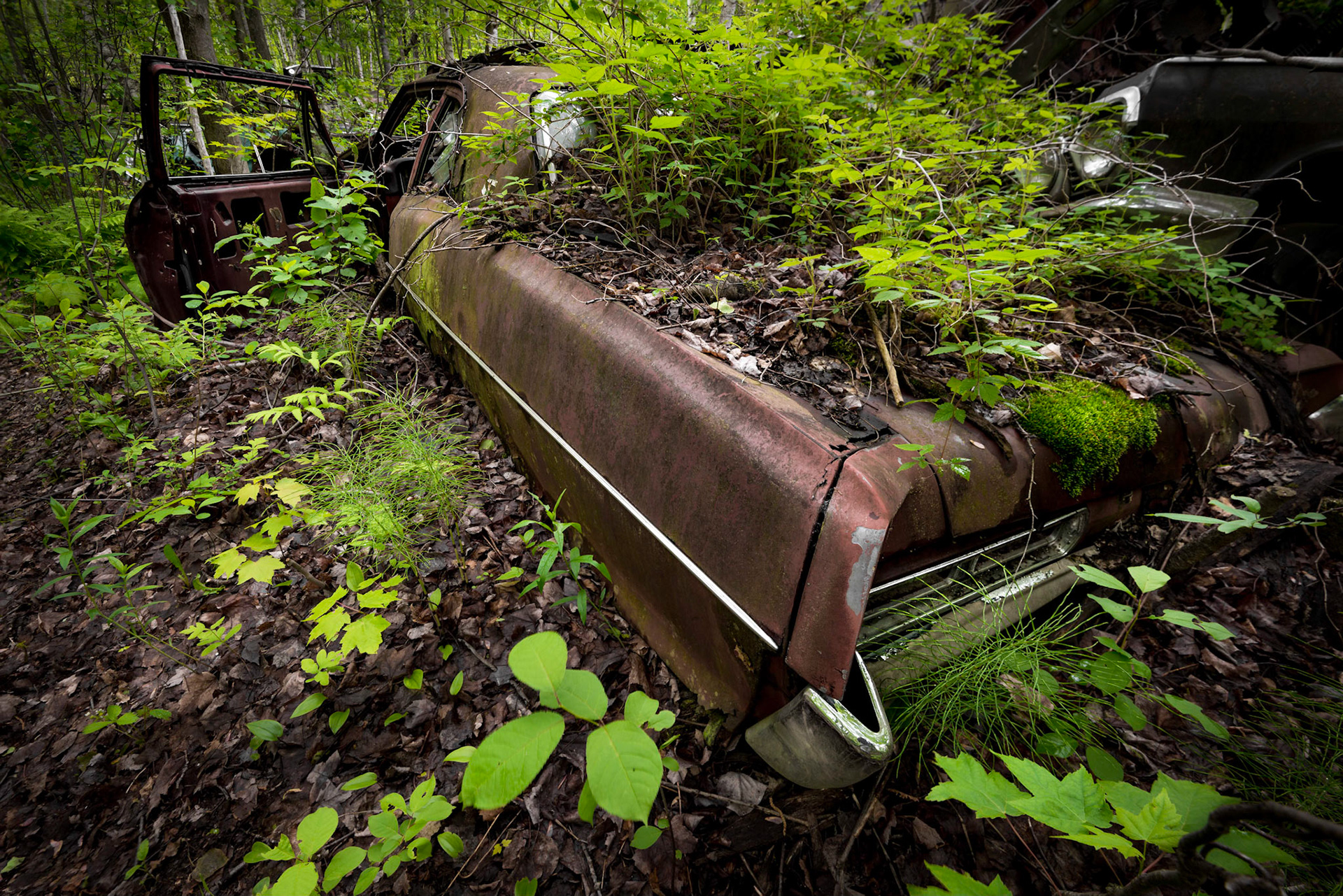 Planter Pickup Truck - Quebec, June 2017