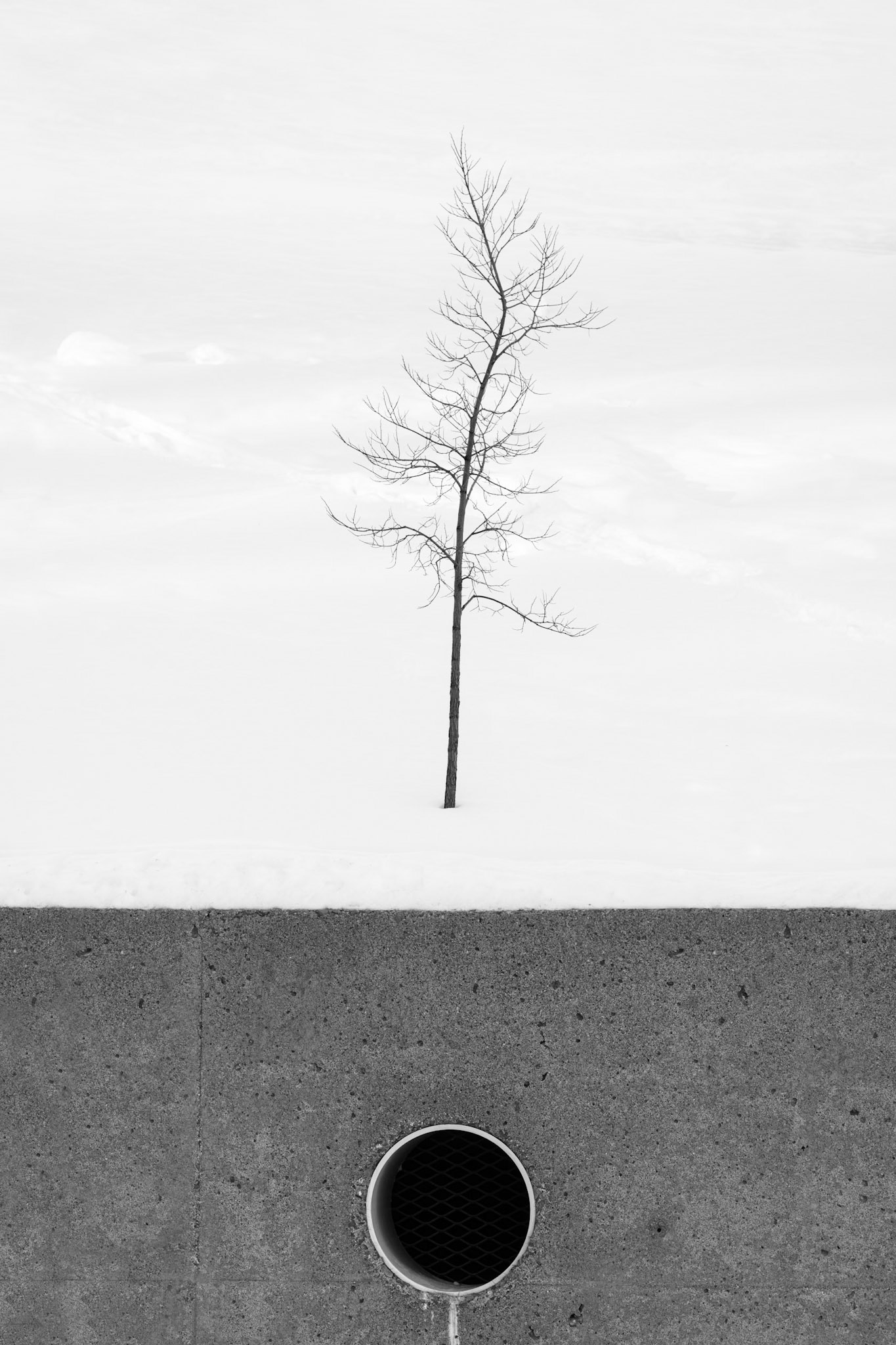 Je perds pied - Montreal, January 2021