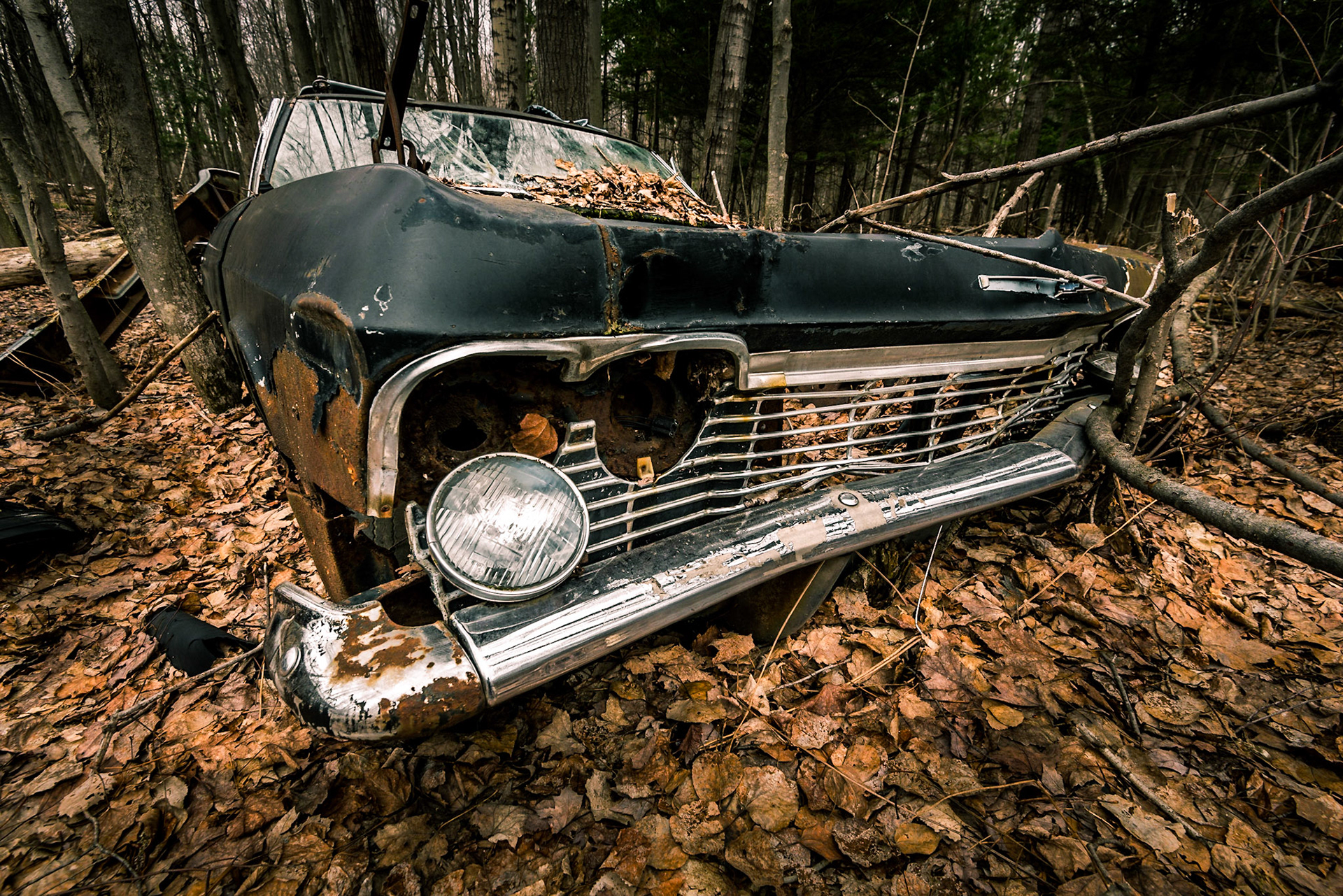 Missing Eye - Quebec, April 2017