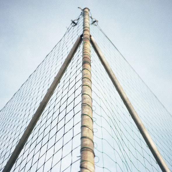 Betrat-Hoven - Tulpenstraße 50