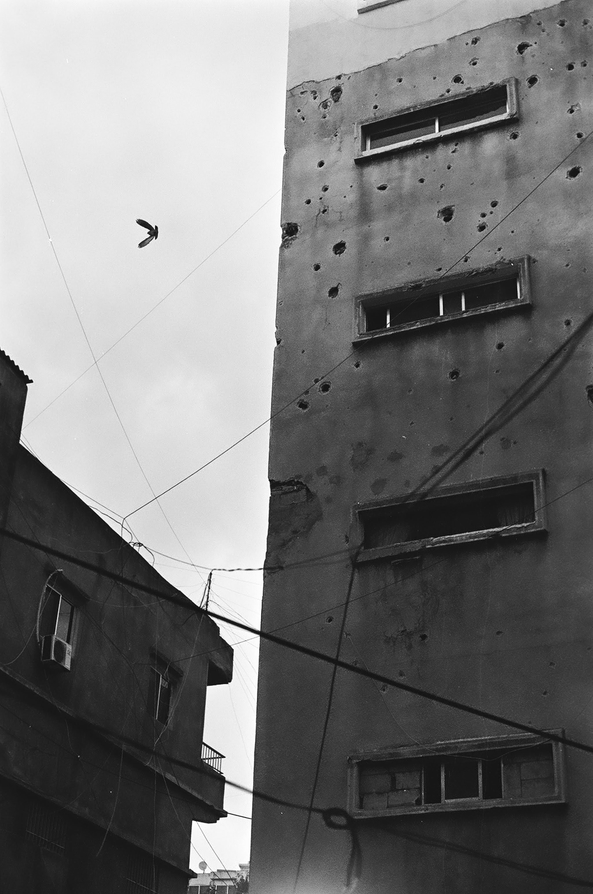 Tyre - November, 2023