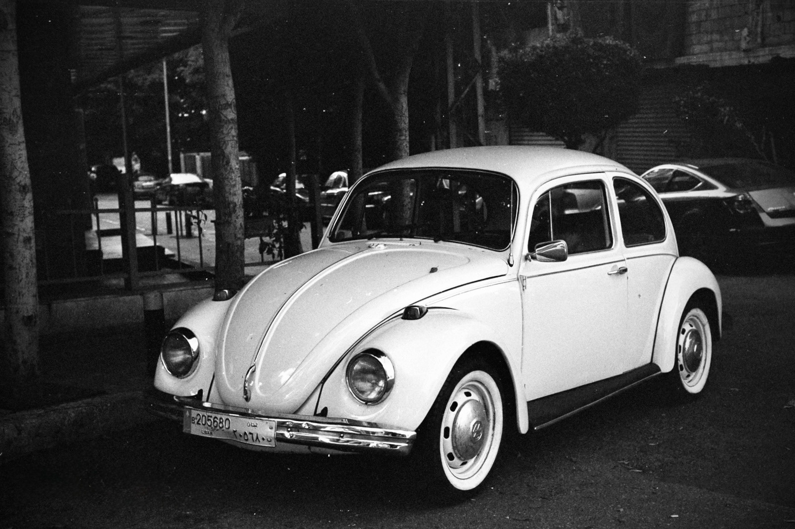 Hamra - November, 2022