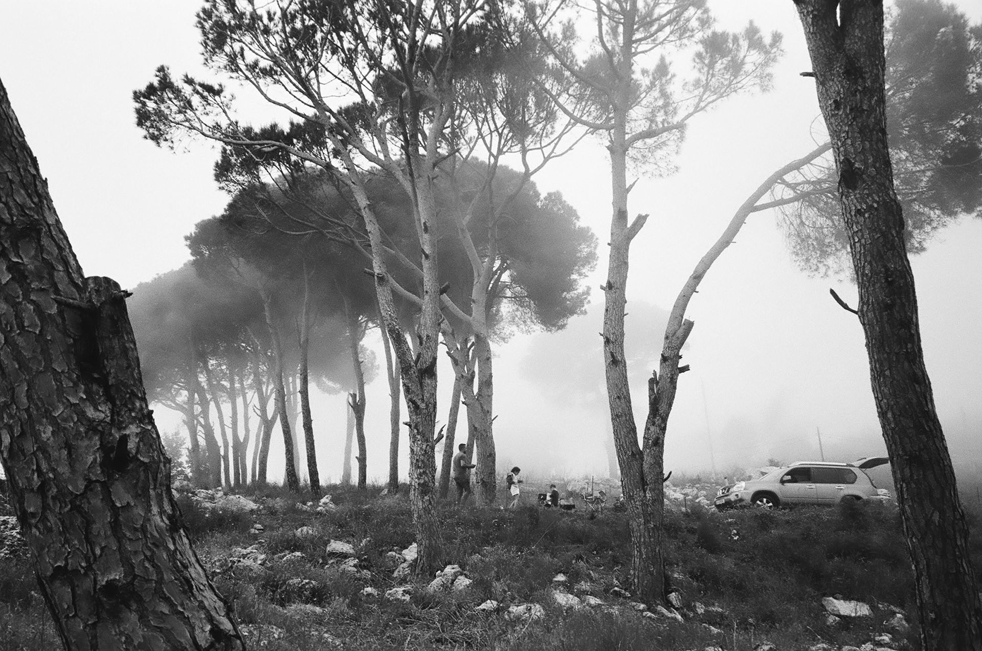 Souq El Gharb - April, 2024