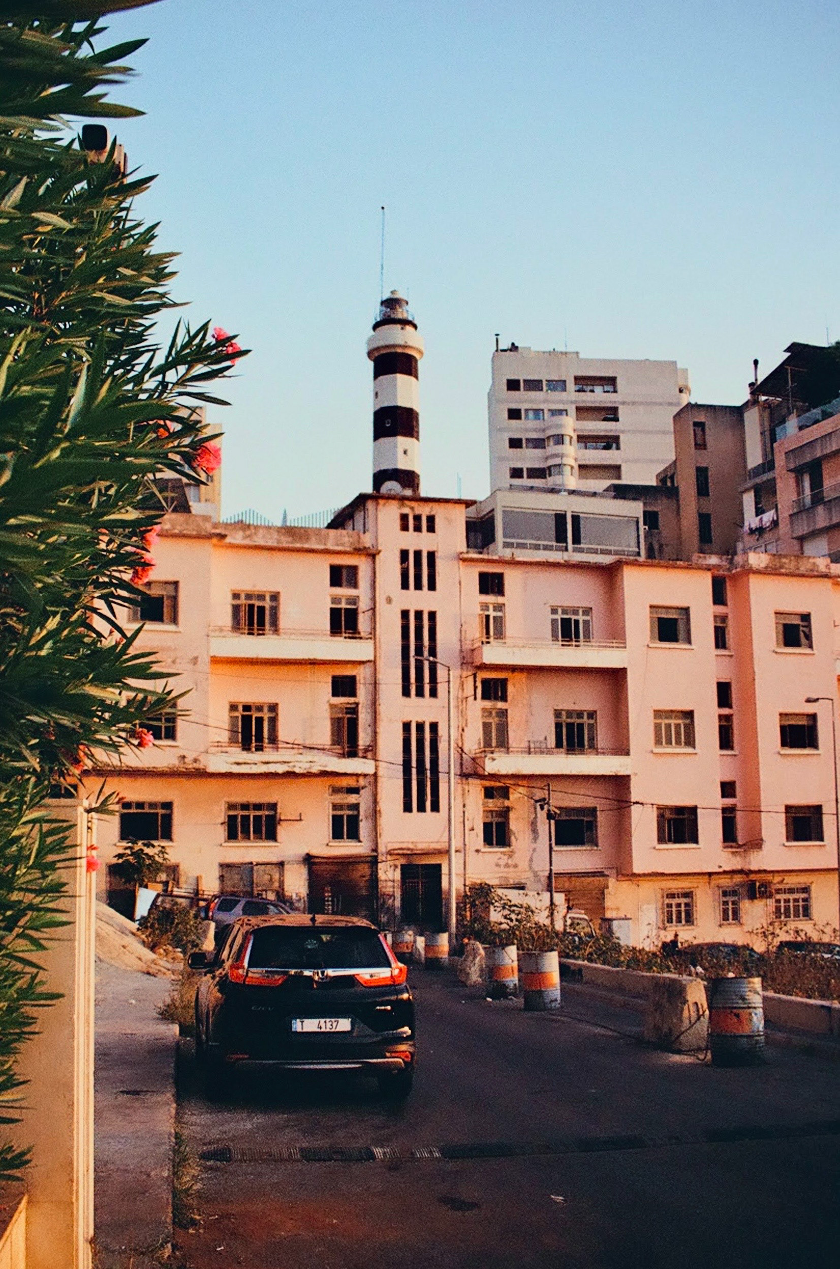 Manara - August, 2024