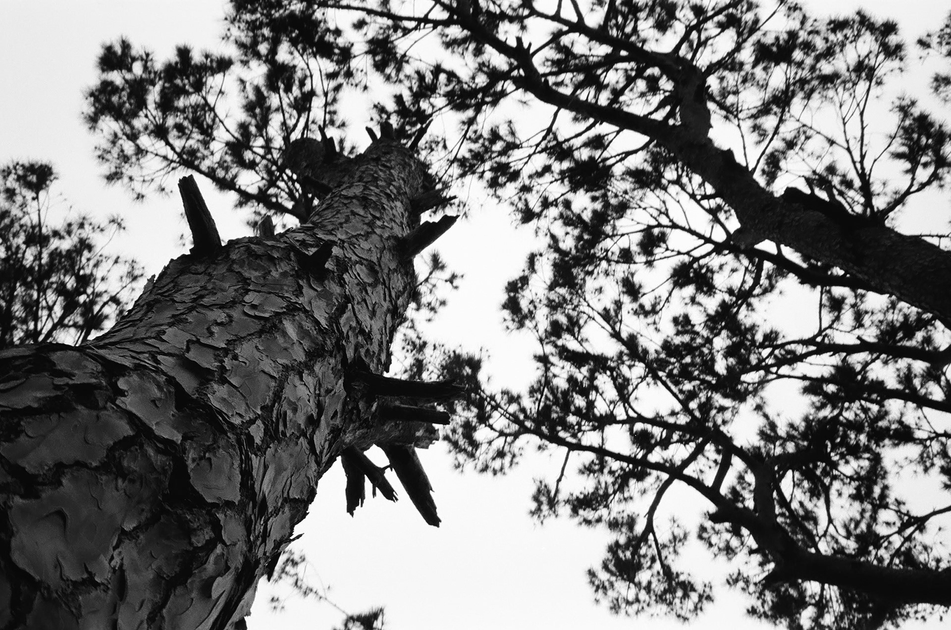 Souq El Gharb - April, 2024