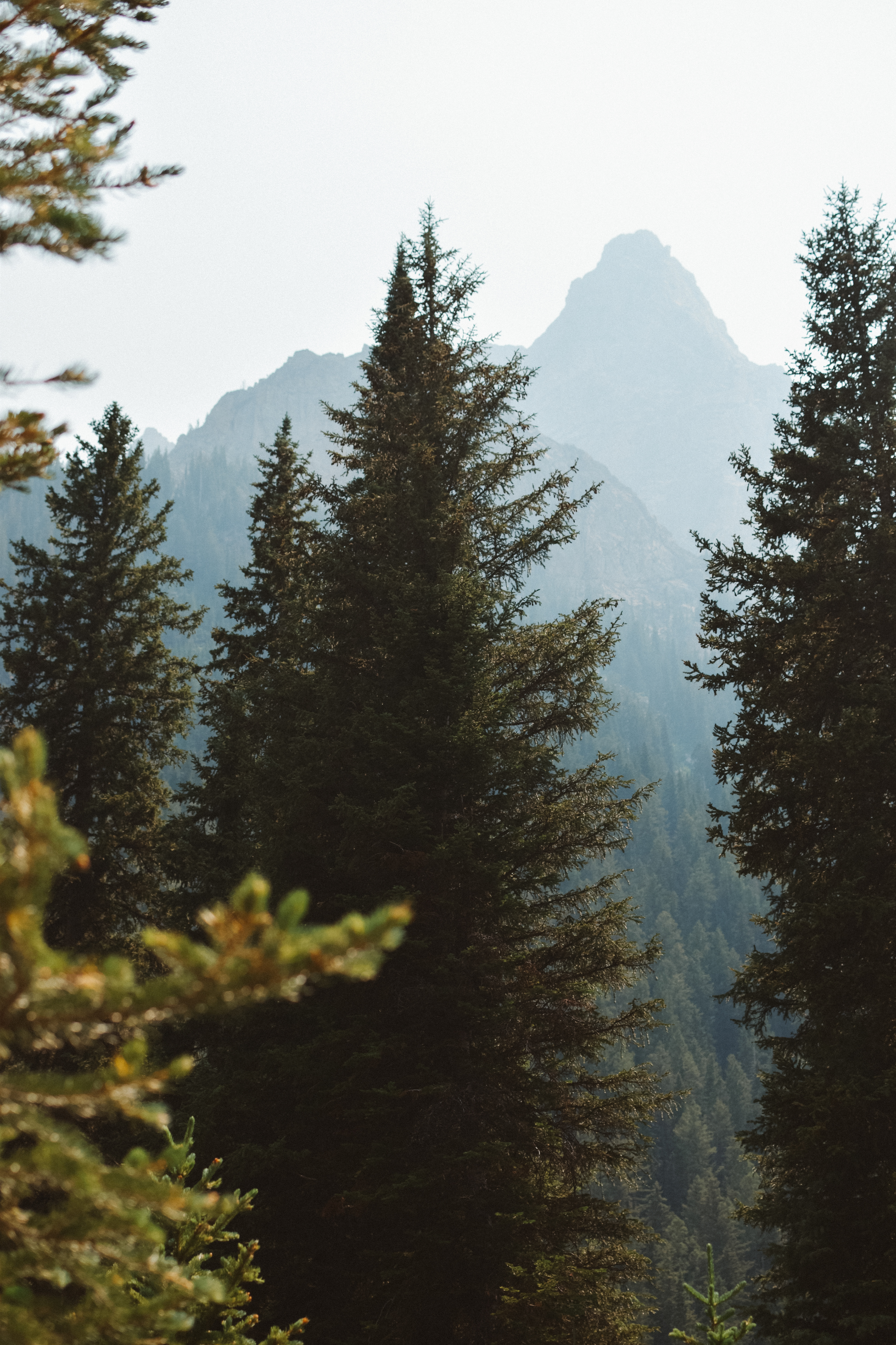 grand tetons national park, 2021