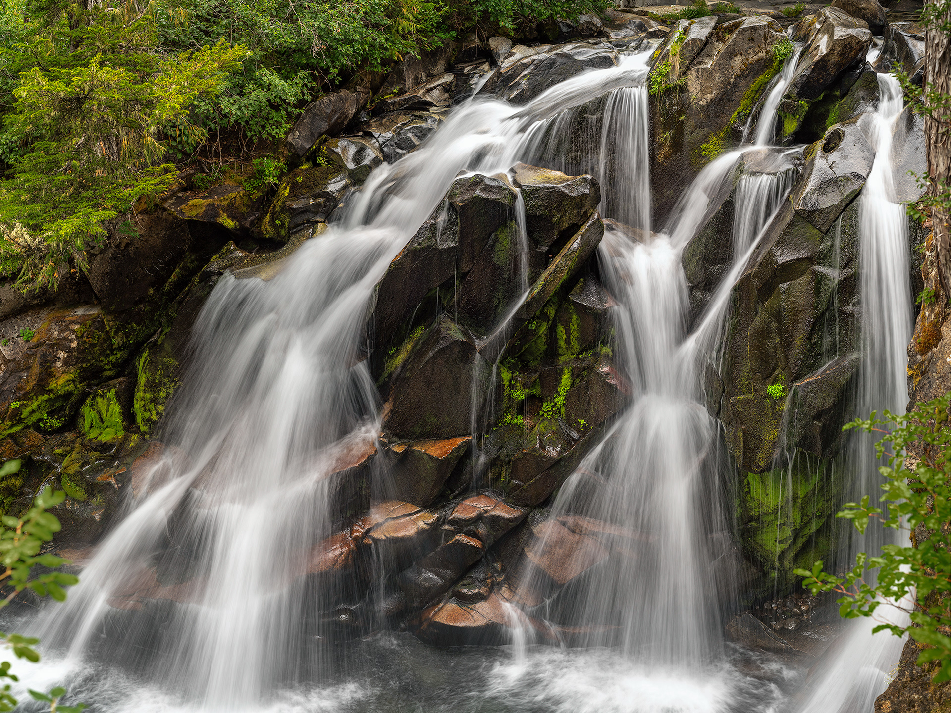 Paradise Falls, Mt Rainier, WA