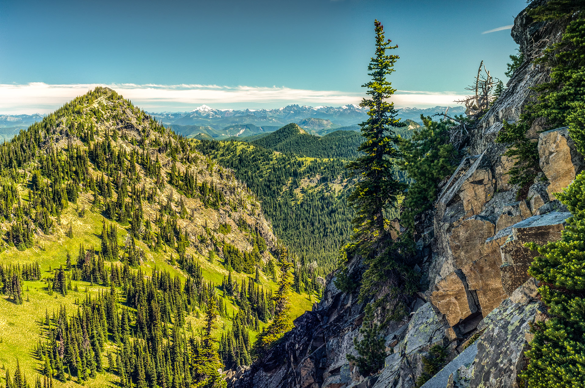 Mt Rainier, Sunrise, WA