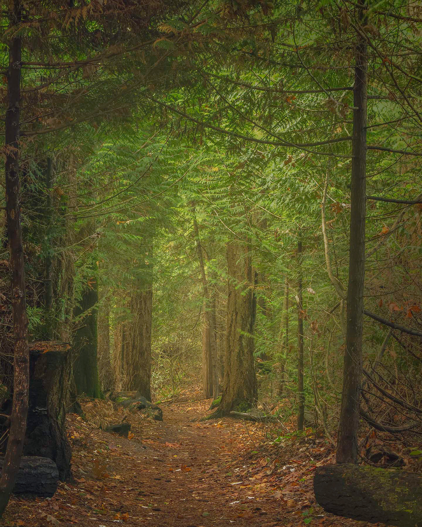 St Edwards Park, WA