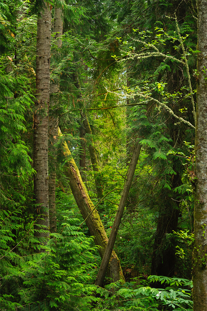 Salt Creek County Pk, WA