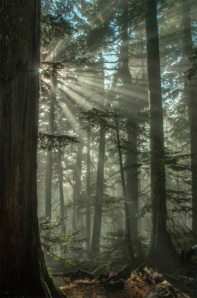 Mt Pilchuck, WA