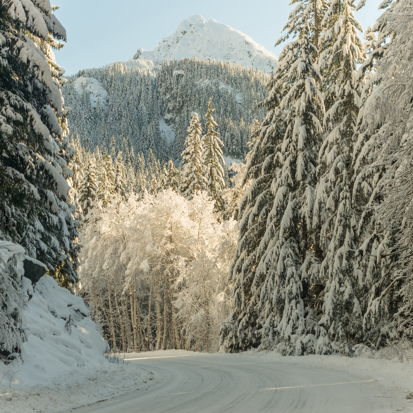 Mt Loop Highway