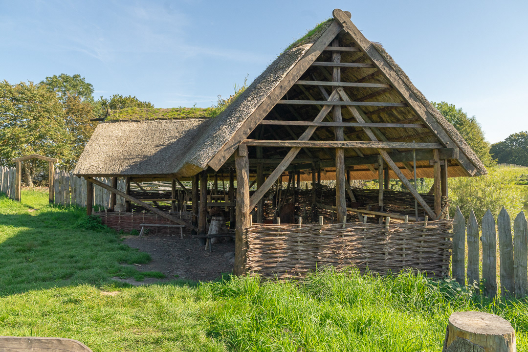Viking Workshop
