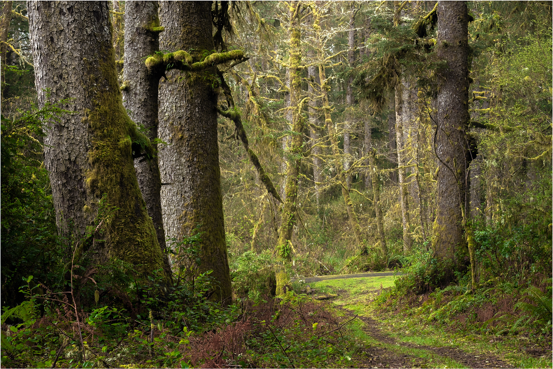 Fort Stevens, OR