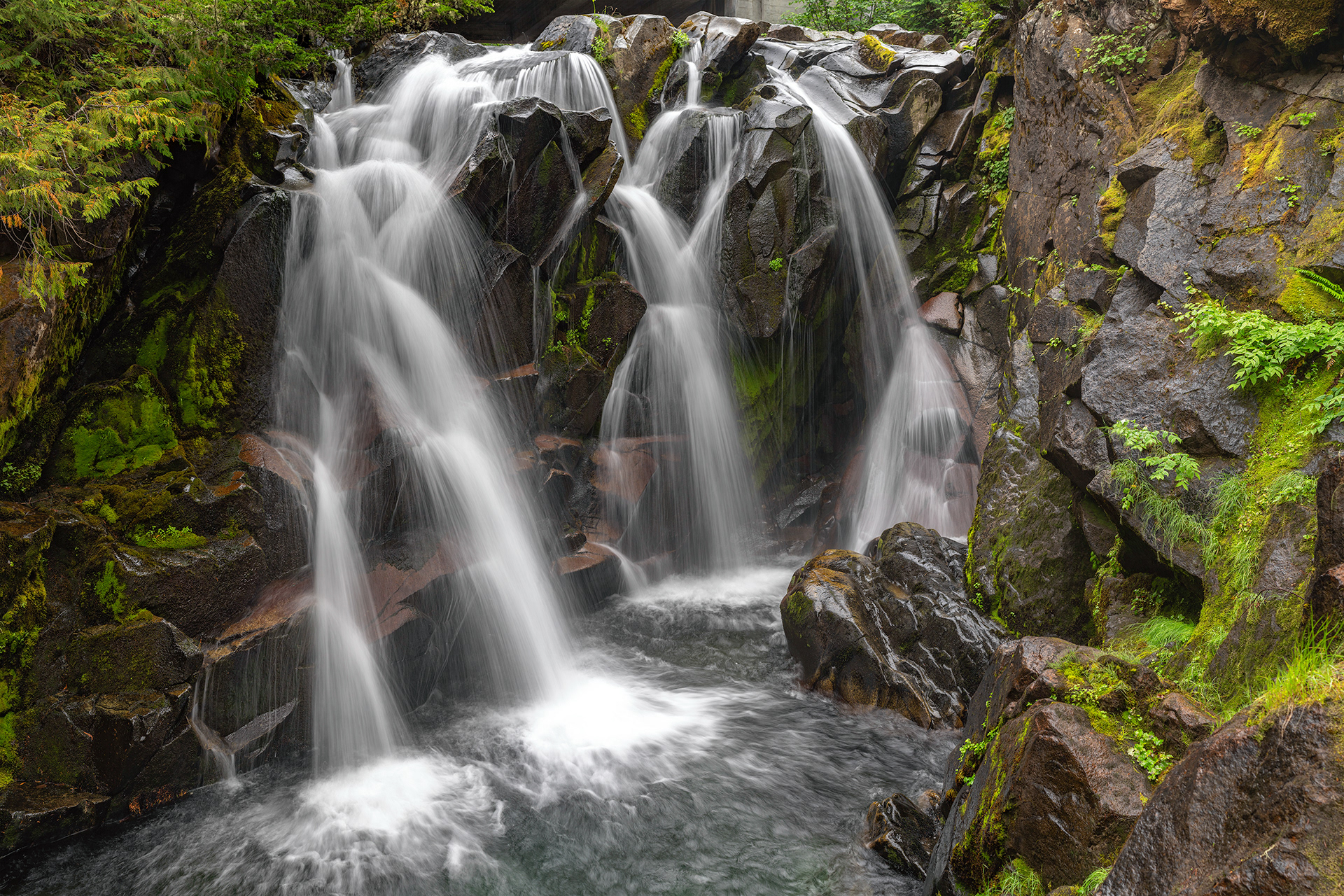 Paradise Falls, Mt Rainier, WA