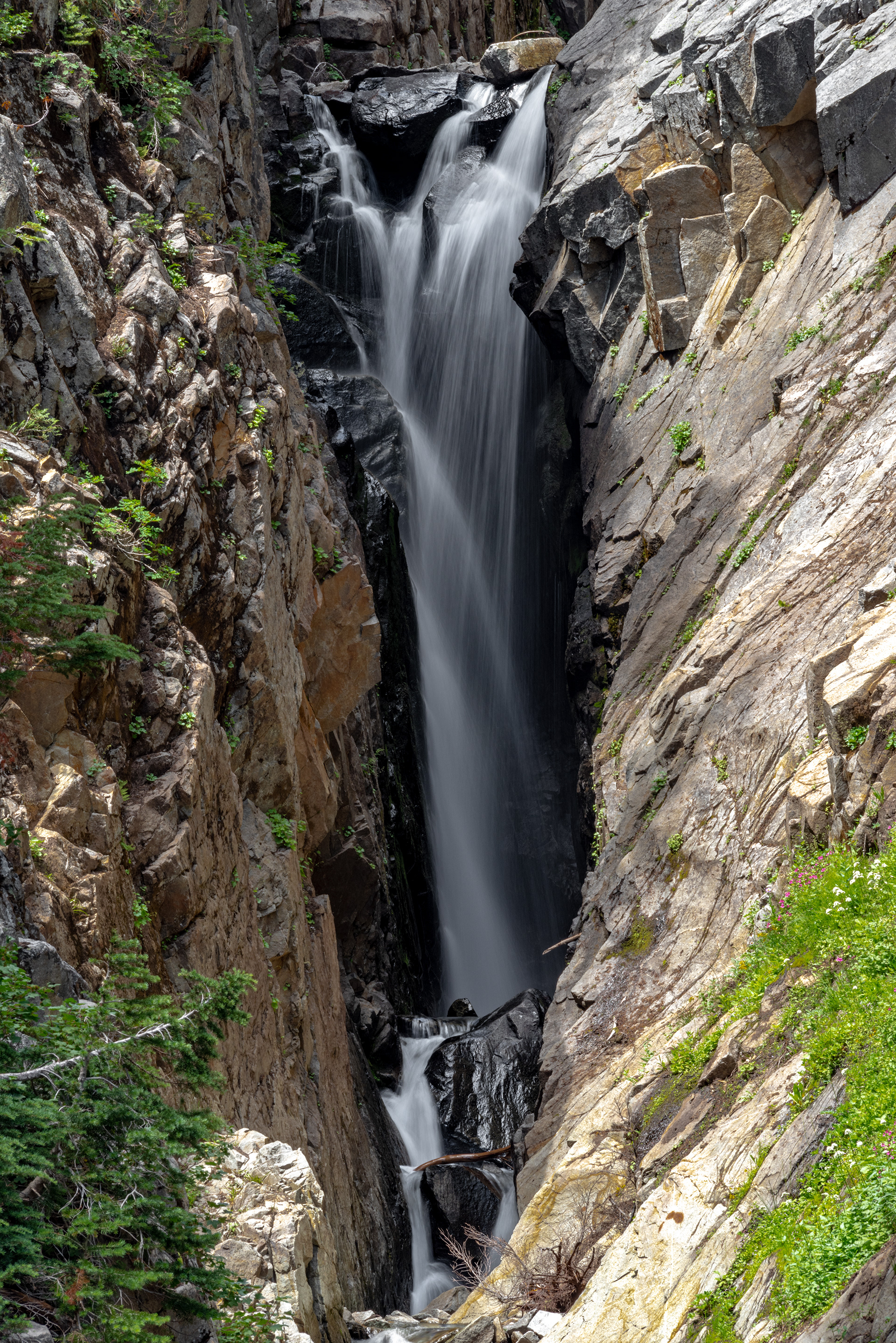 Edith Gorge Falls, Mt Rainier