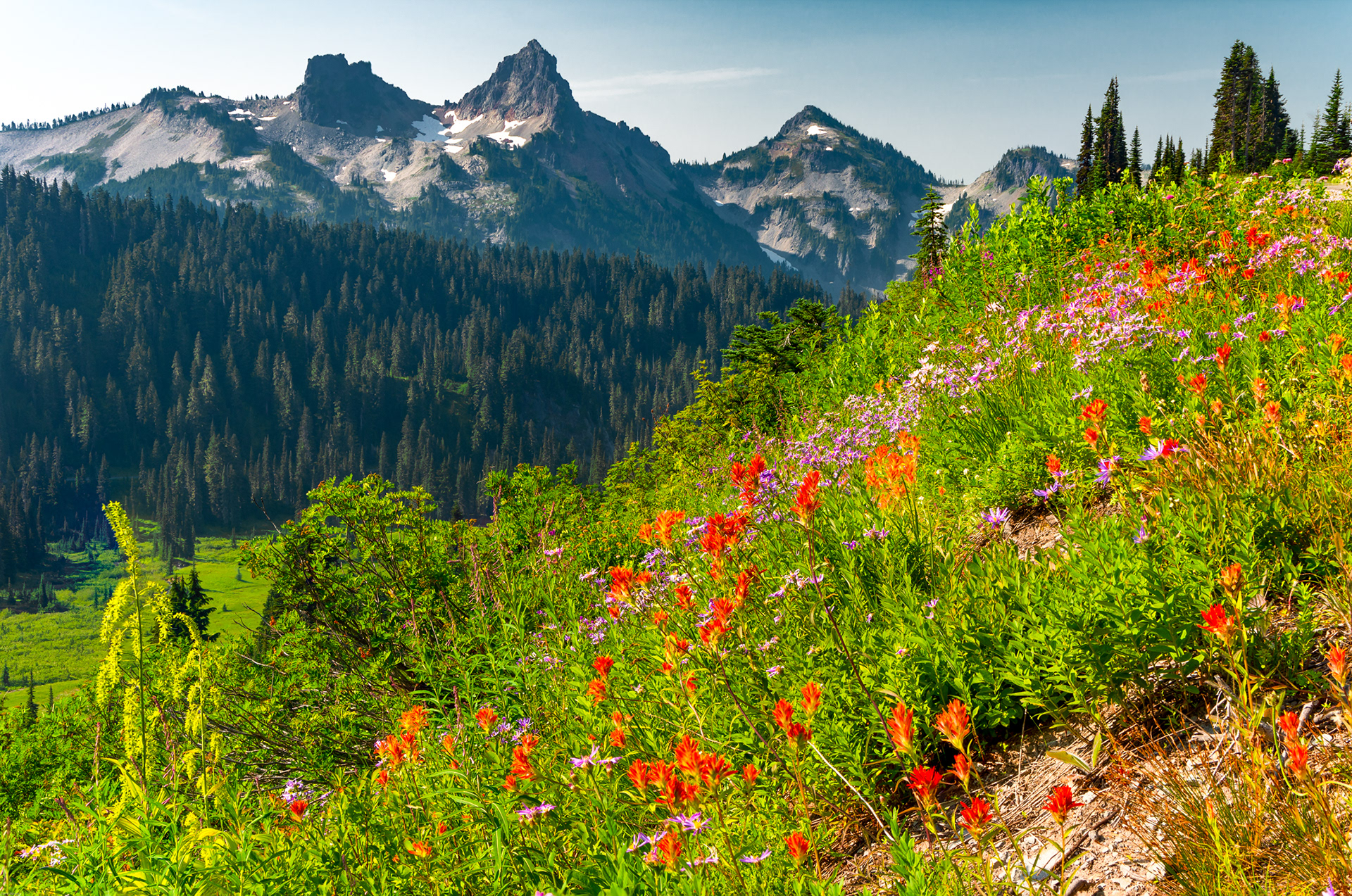  Mt Rainier, Paradise, WA