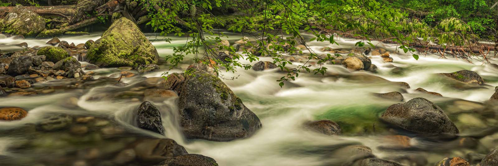 Buck Creek, Suiattle River, WA