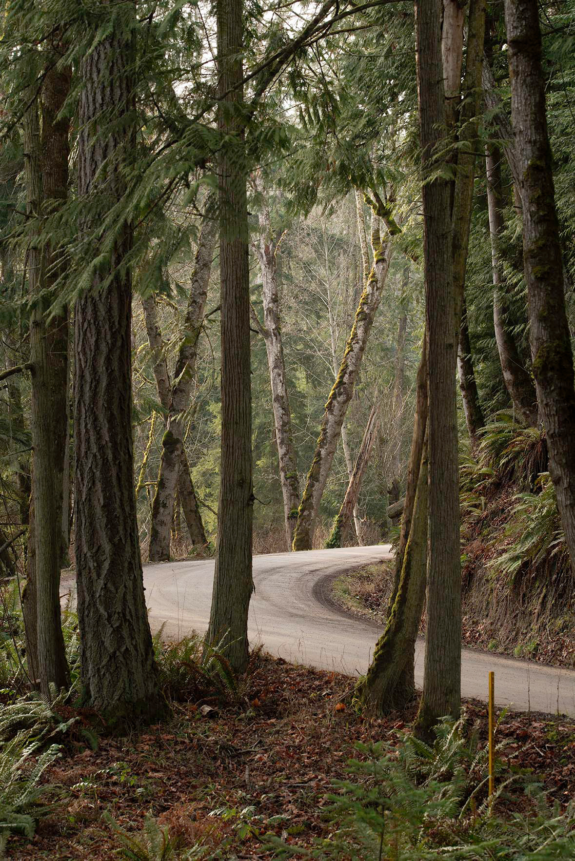 Van Trojan, Chimacum, WA