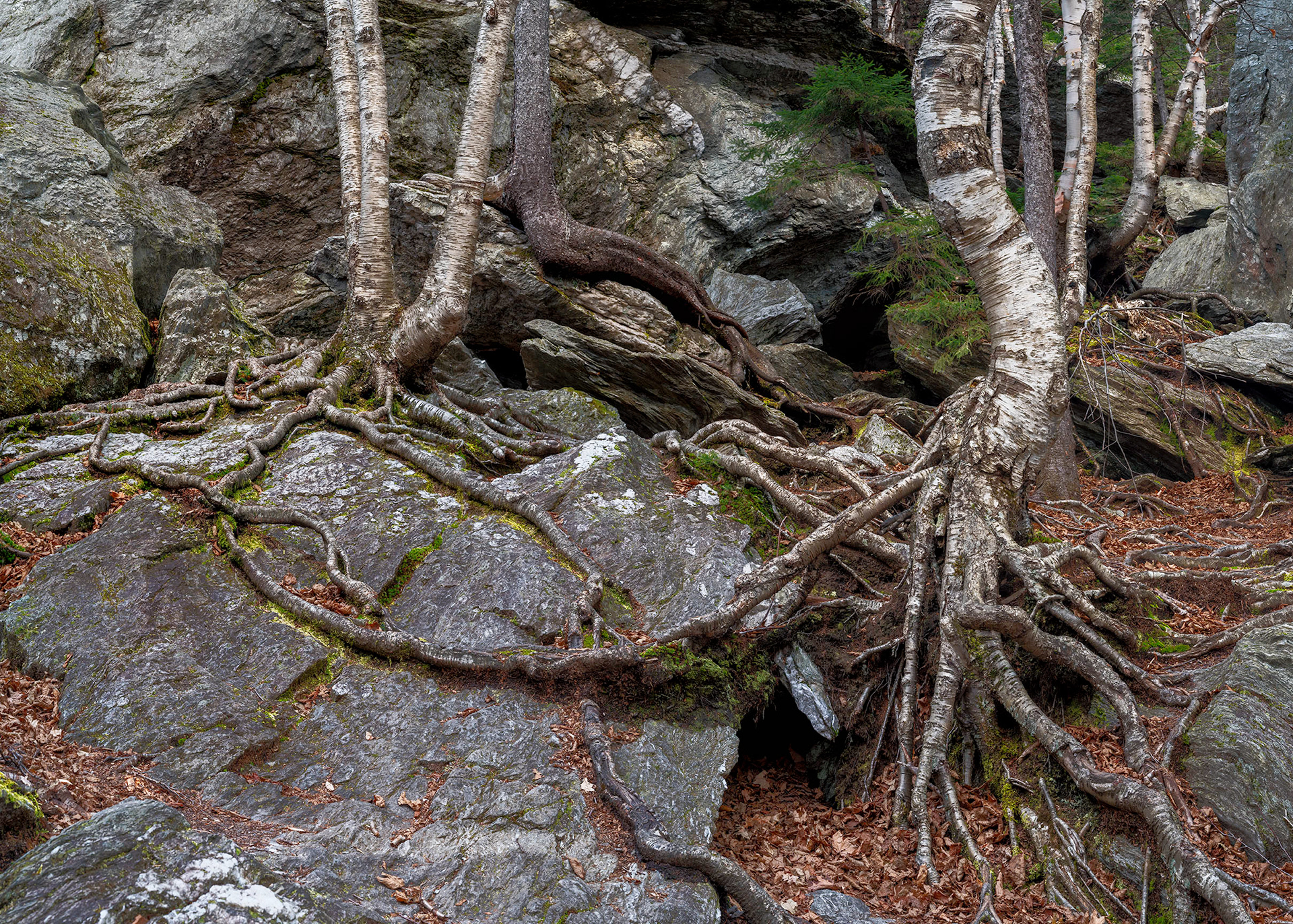 Smuggler Notch Danger