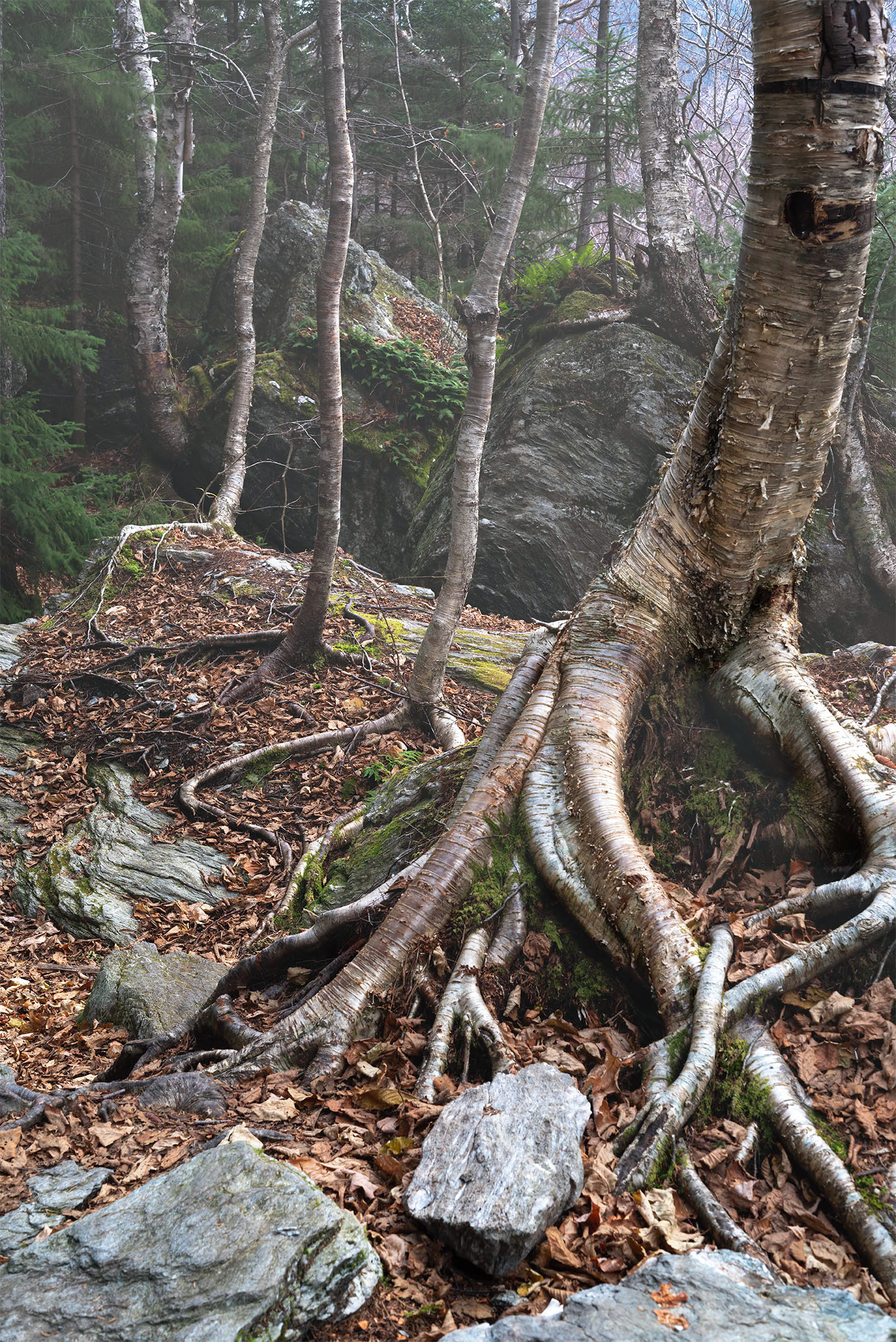 Smuggler Notch Danger