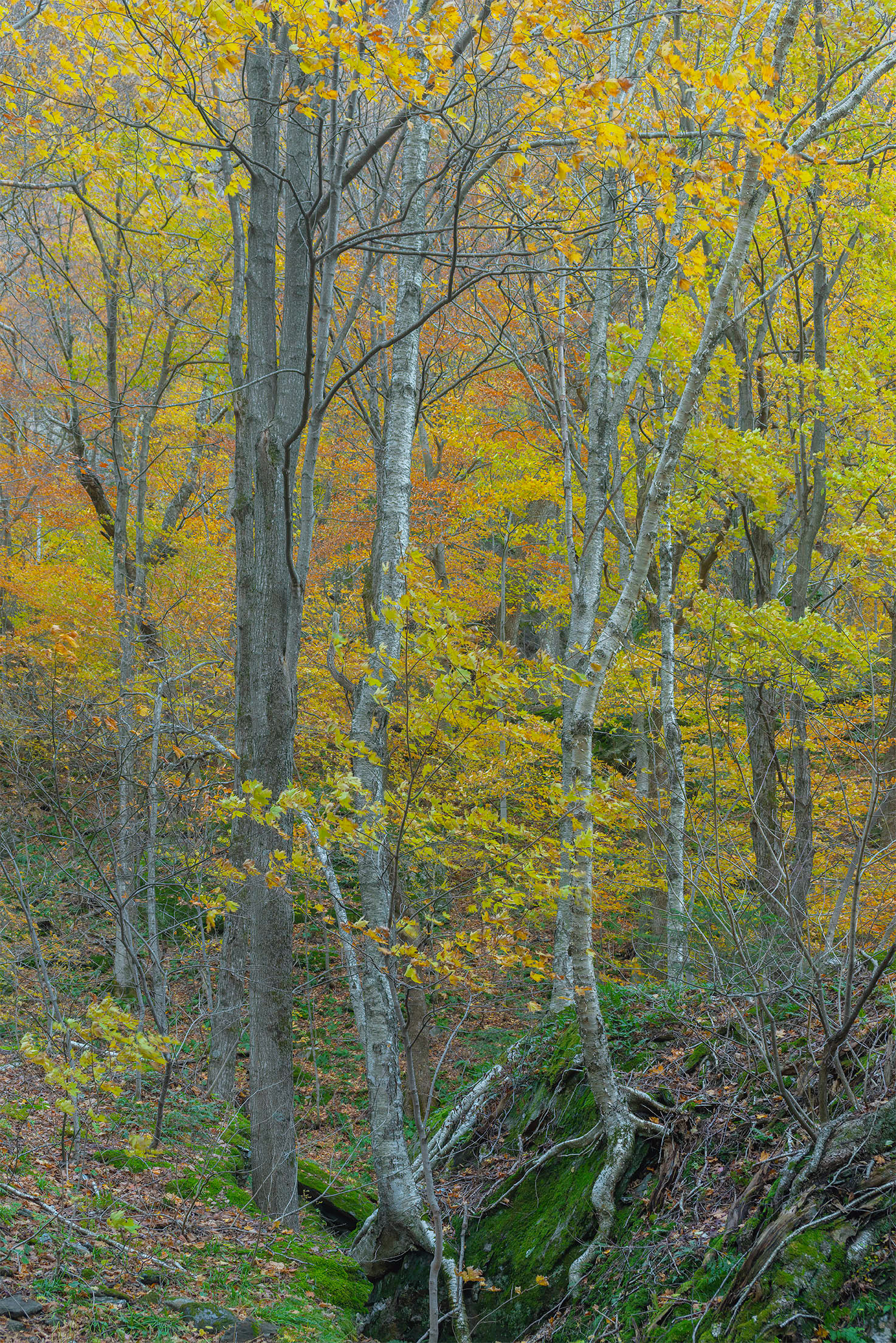 Near the End of Holding On