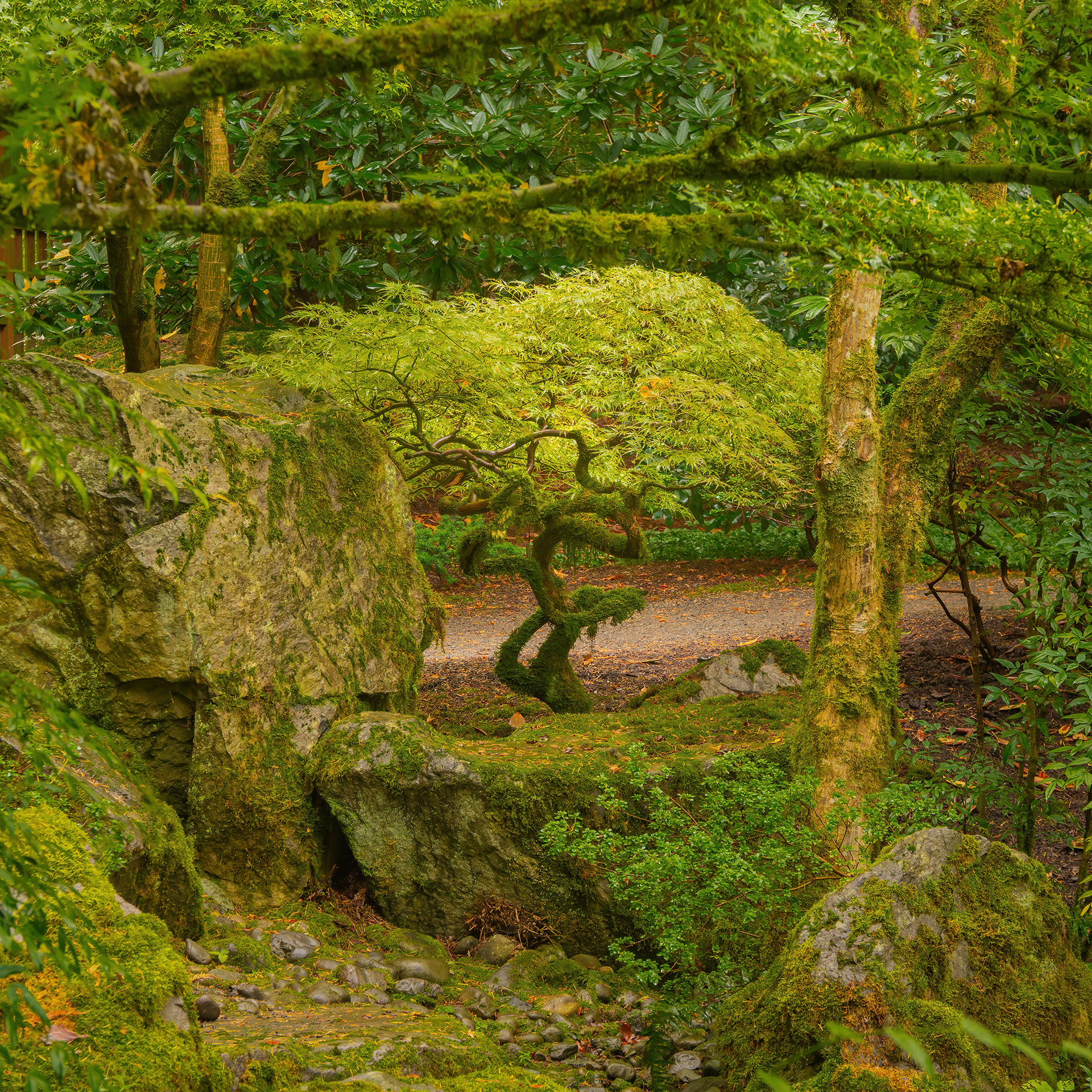 Bellevue Botanical Gardens