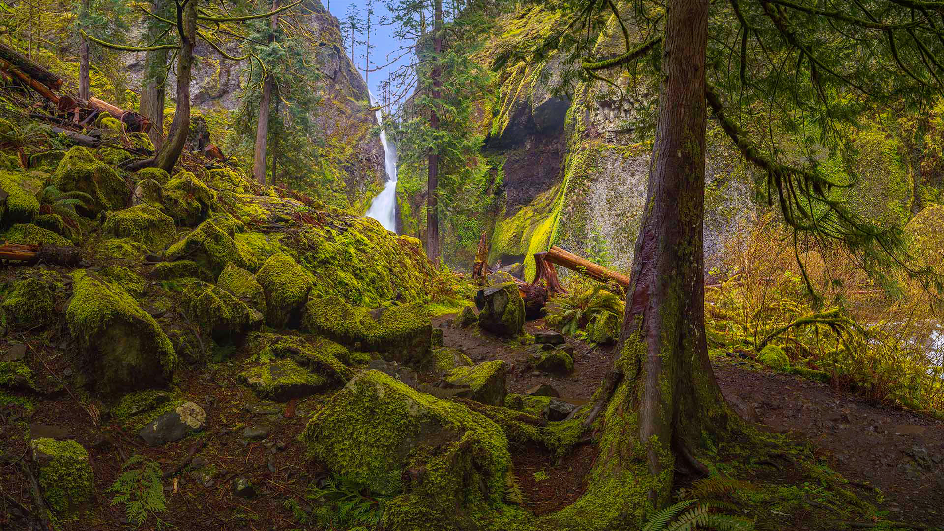 Wachlella Falls, OR