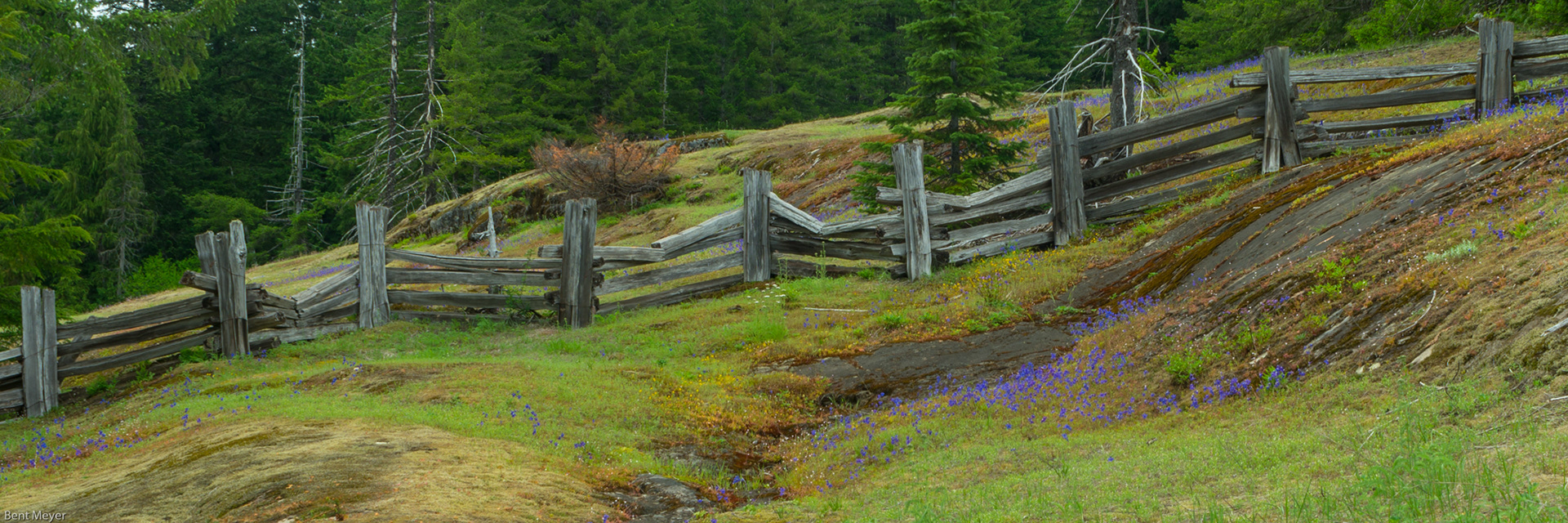  Box Canyon,, Mt Rainier, WA