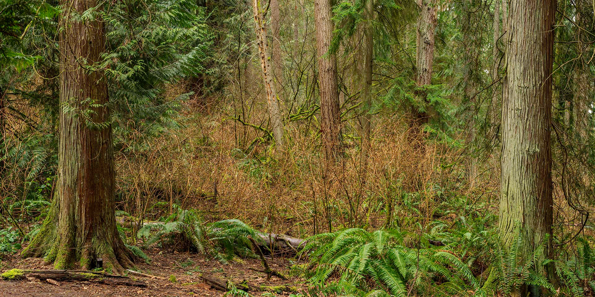 Meadowdale Park, WA