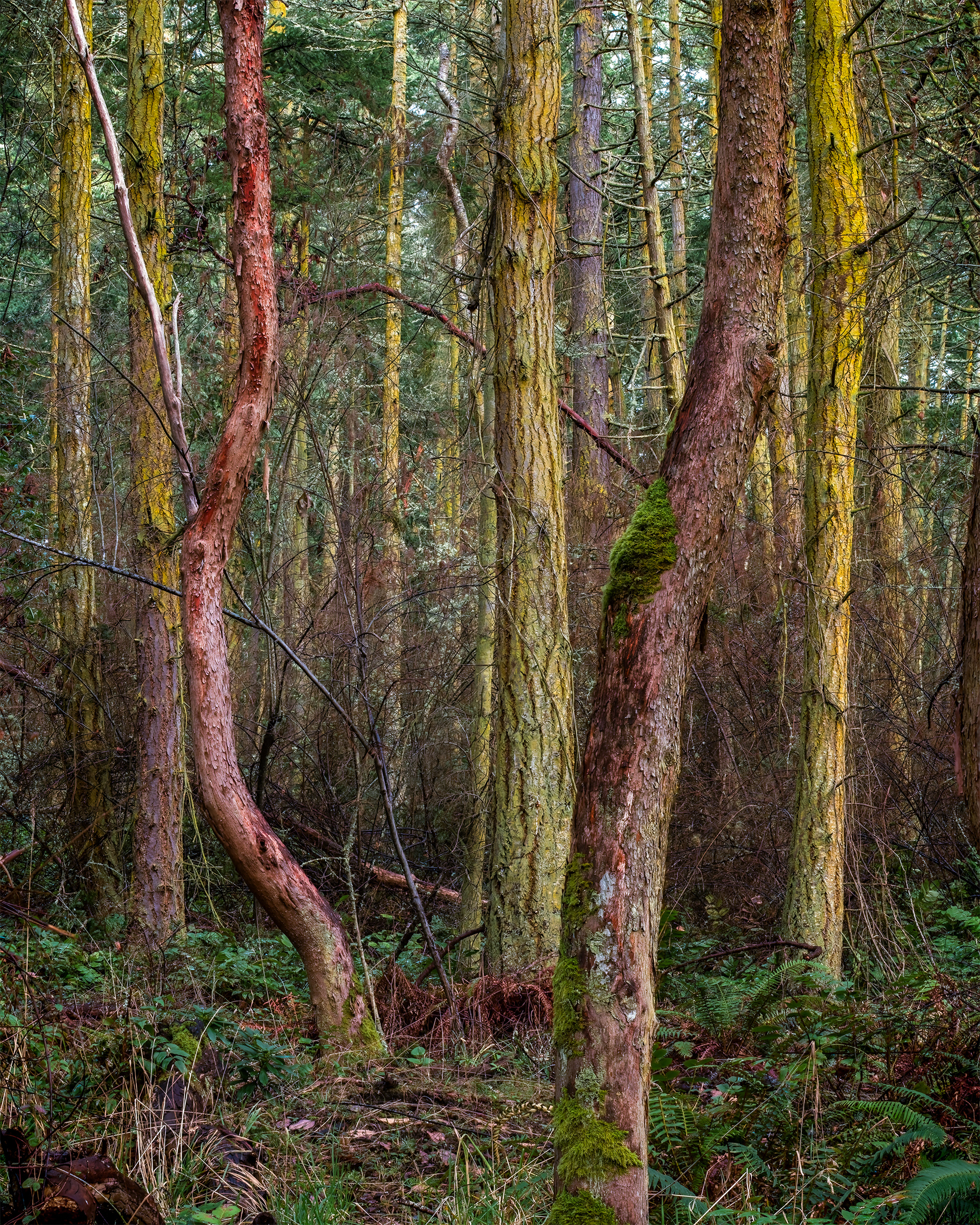 Fort Warden, Port Townsend, WA