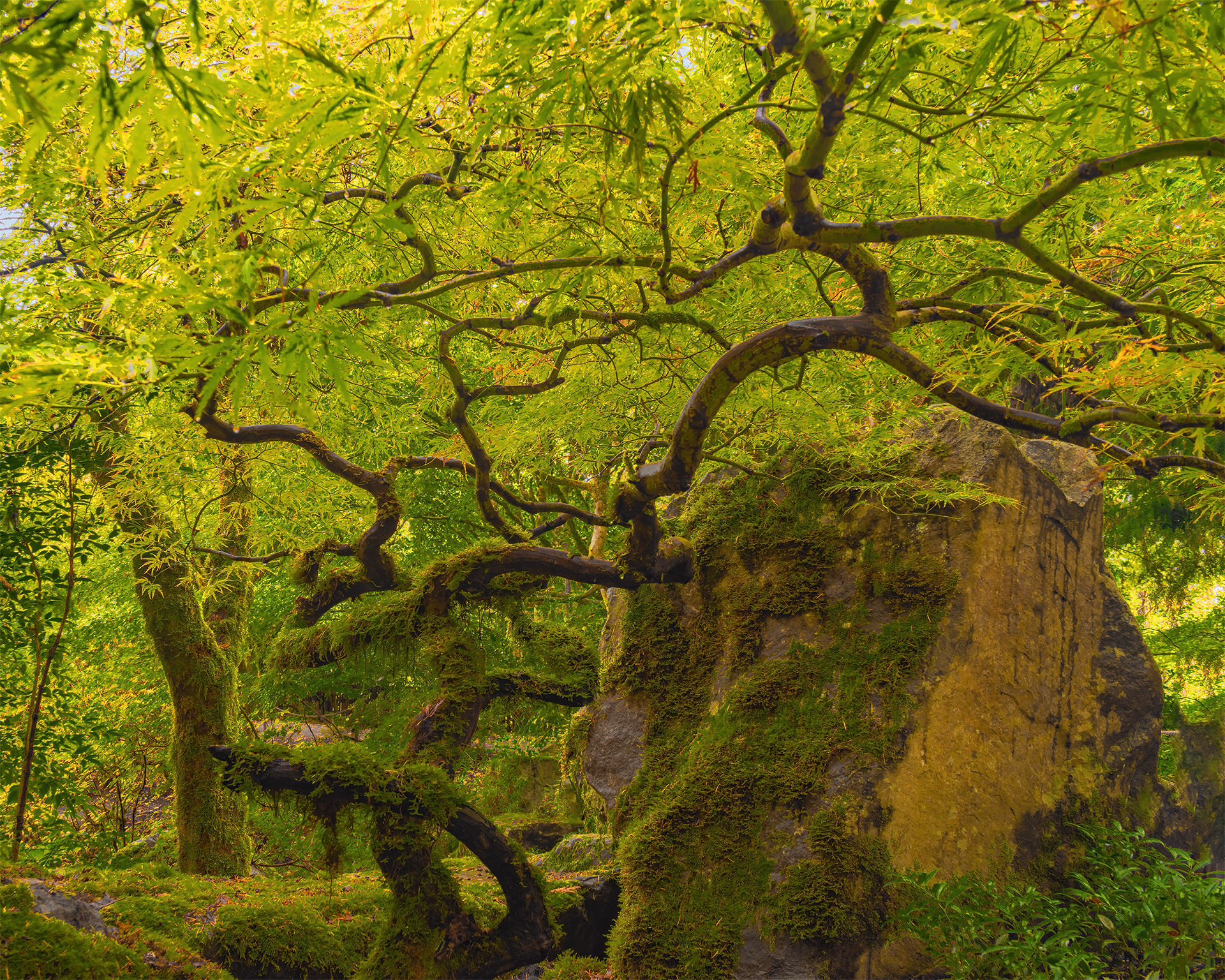 Bellevue Botanical Gardens