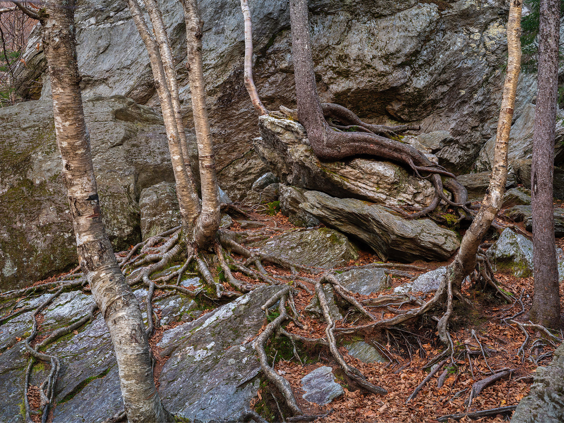 Smuggler Notch Danger
