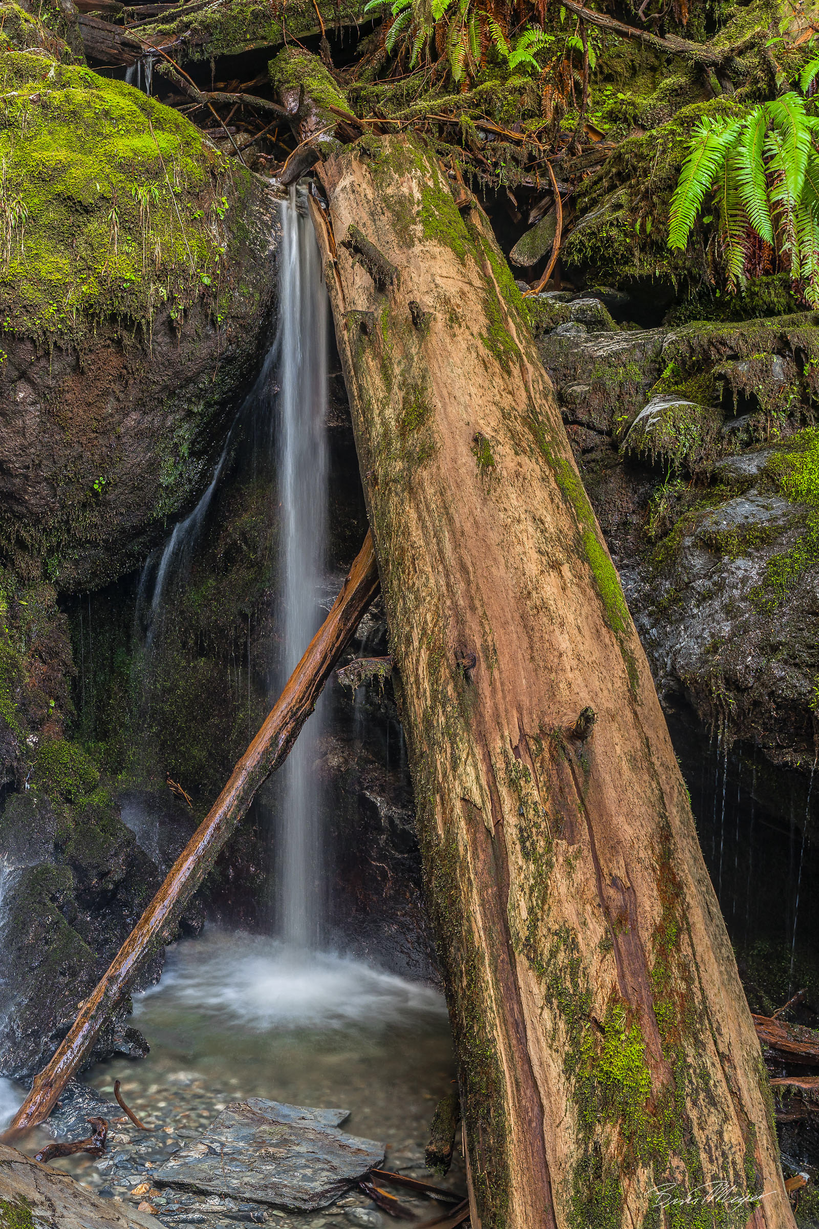 Old Cascade Highway, WA 